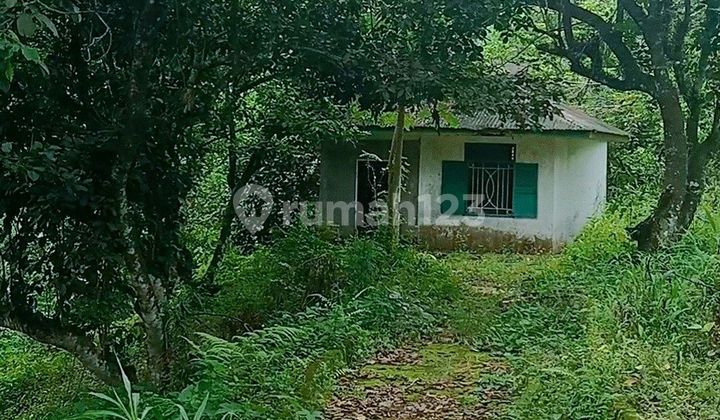 Dijual Tanah 5 ha cocok untuk Pabrik Minuman