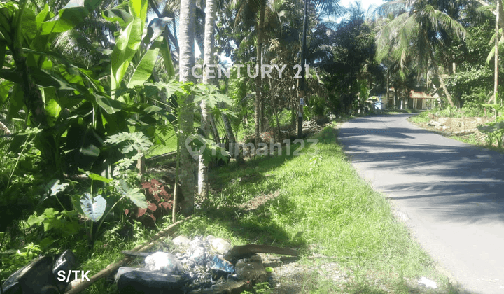 TANAH STARTEGIS DI CITUMANG PANGANDARAN COCOK UNTUK USAHA 1