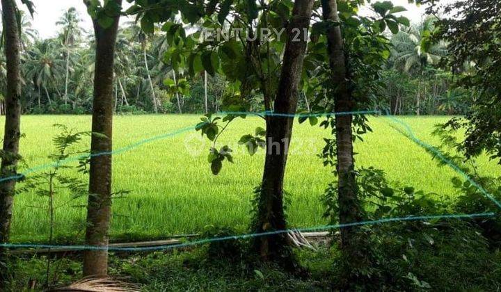 TANAH STARTEGIS DI CITUMANG PANGANDARAN COCOK UNTUK USAHA 2