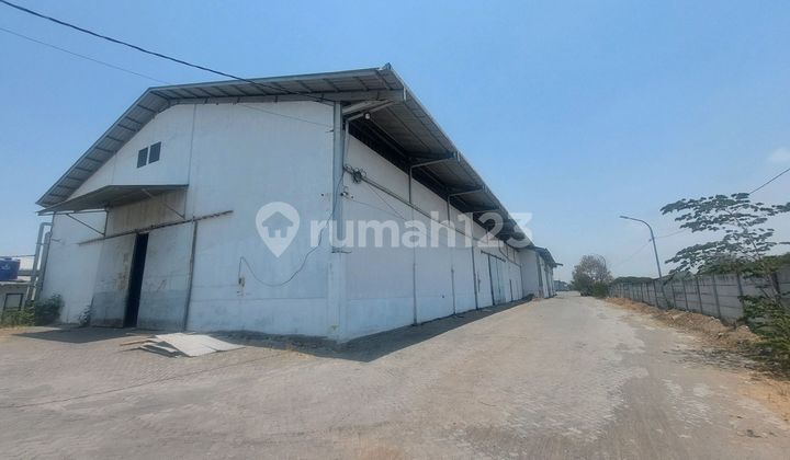 Ready. Gudang Tambak.langon Dekat Margomulyo Dan Akses Tol Ready. Gudang Tambak.langon Dekat Margomulyo Dan Akses Tol