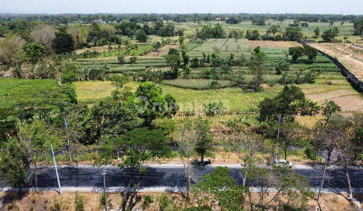 Langka. Tanah Nol Jalan Malang Pasuruan Dkt Tol Purwodadi. Mayora Dll 1