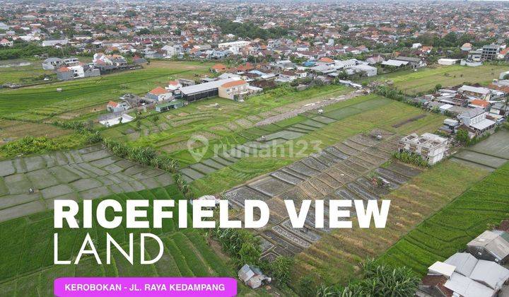 Plot of land for rent, Kedampang location - Kerobokan Plot 2 - 10 Are 1