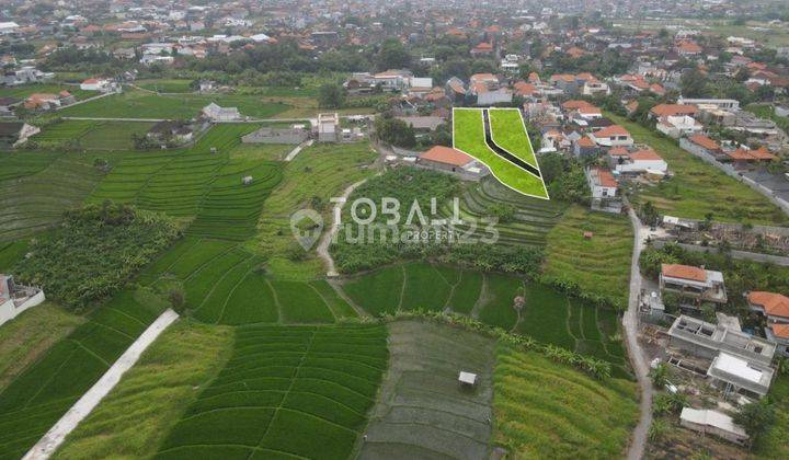 FAST FOR SALE LAND PLOT LOCATION CANGGU - KULIBUL 2