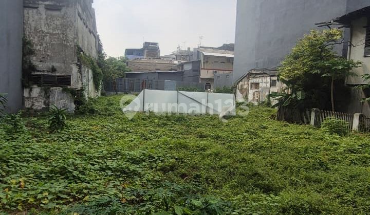 Mango Large Land Plot Area 502 Square Meters Mango Large Land Plot Area 502 Square Meters