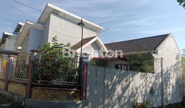 Rumah Tinggal Asri dan Sejuk 2