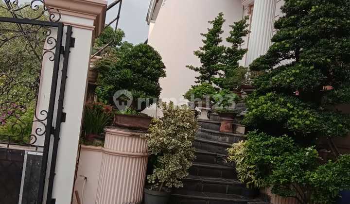 Dijual Rumah Mewah 2½ di Pluit Putri Ukuran 14x26m² 2