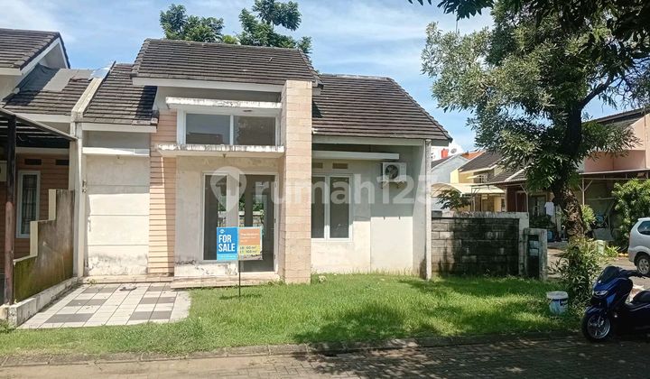 Elysium Ready to Occupy Corner Position Tanjung Bunga Makassar