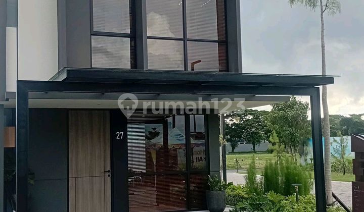 The Estuary Gold Living in Tanjung Bunga