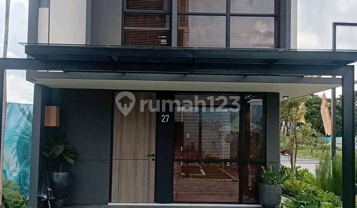 The Estuary Gold Living in Tanjung Bunga