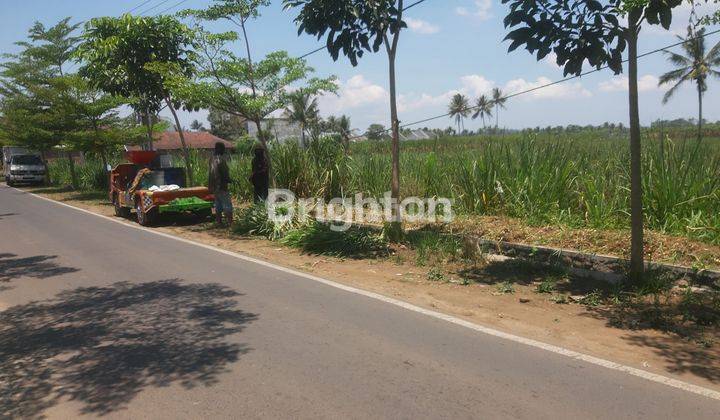 Tanah SHM  Luas 1 Hektare di Kedung Kandang Malang 2