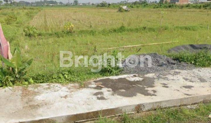 Tanah 5000m2 di Jl Bamban dekat Tol Pakis Malang 1