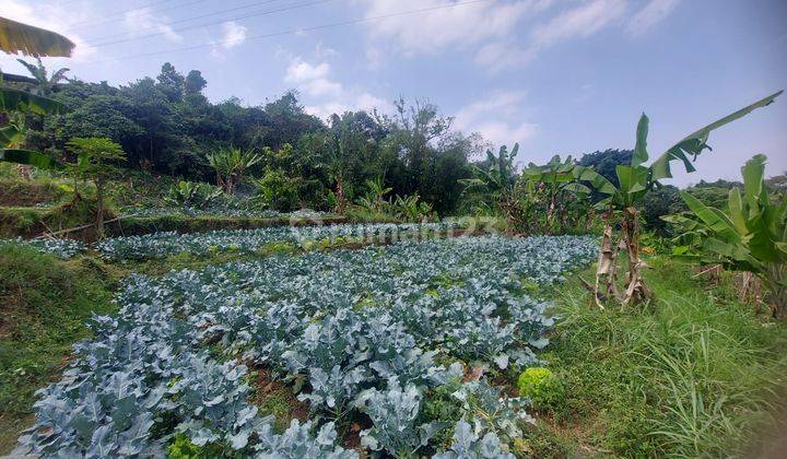 Dijual Kavling Di Lembah Bajuri Cocok Untuk Usaha 1