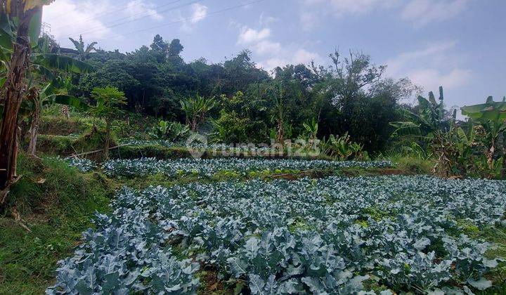 Dijual Kavling Di Lembah Bajuri Cocok Untuk Usaha 2