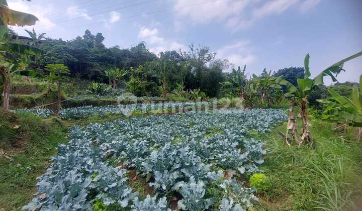 LAND Lembang Wing Suitable for Business