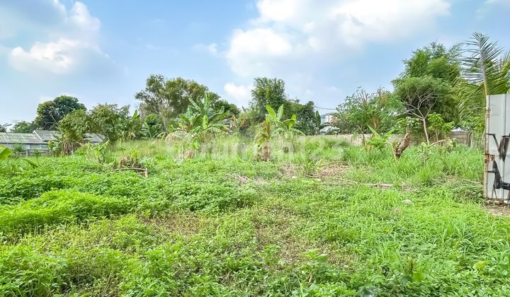 Tanah Siap Bangun Di Serua Ciputat Dekat Kantor Walikota Tangerang Selatan Tanah Siap Bangun Di Serua Ciputat Dekat Kantor Walikota Tangerang Selatan