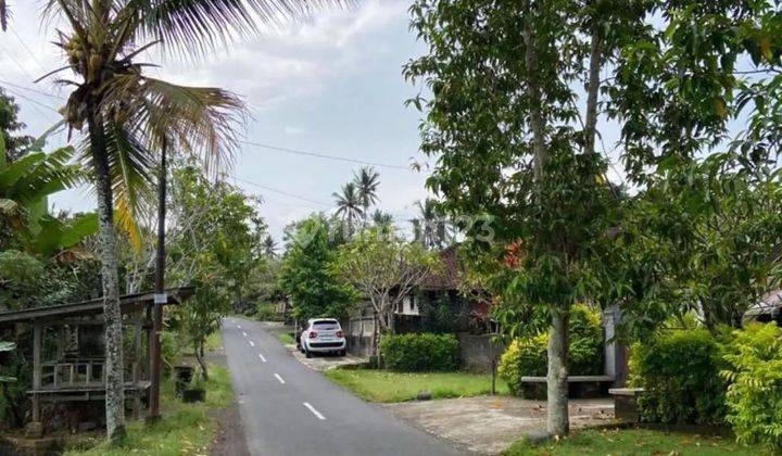 Cheap 35 Are Super Strategic Land in Tabanan Bali  2