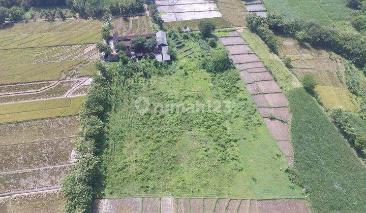 Tanah 18286 m² Murah Strategis di Tasikmadu, SHM dan IMB Lengkap 1