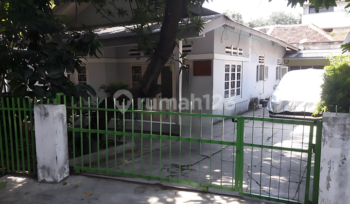 Rumah Tua Gambir Halaman Luas Butuh Renovasi Murah di Bawah NJOP