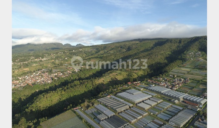 Tanah Resort Lembang Luas 10,9 Ha Cocok untuk Cottage & Glamping Tanah Resort Lembang Luas 10,9 Ha Cocok untuk Cottage & Glamping