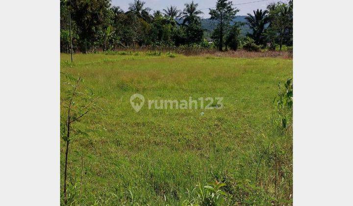 Tanah Kebun Shm Luas 1400 M² Cocok Dibangun Rumah Atau Investasi 1