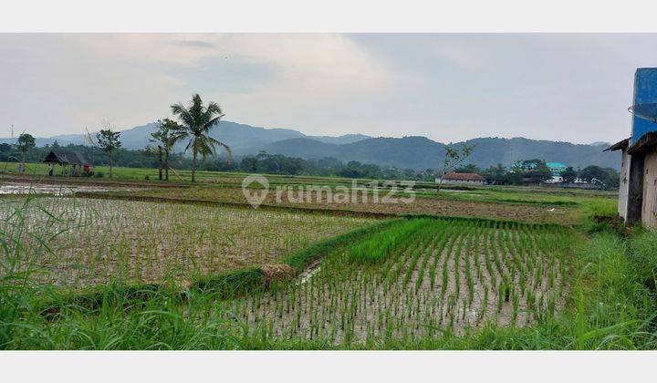 Sawah Luas 2000 m² Murah untuk Bisnis Pinggir Jalan Leuwisadeng 1