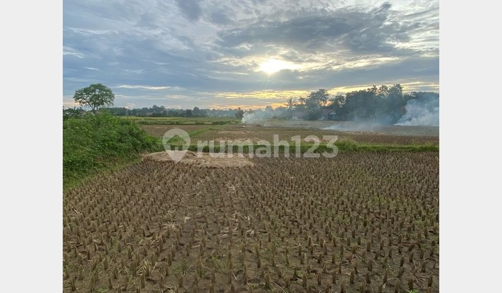 Tanah Sawah Legok Luas 935 m² SHM Dekat Jalan Raya Rancaiyuh Tanah Sawah Legok Luas 935 m² SHM Dekat Jalan Raya Rancaiyuh