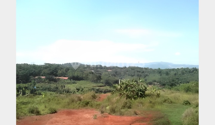 Tanah Parung 7,5 Ha SHM Murah Cocok Dibangun Perumahan Subsidi Tanah Parung 7,5 Ha SHM Murah Cocok Dibangun Perumahan Subsidi