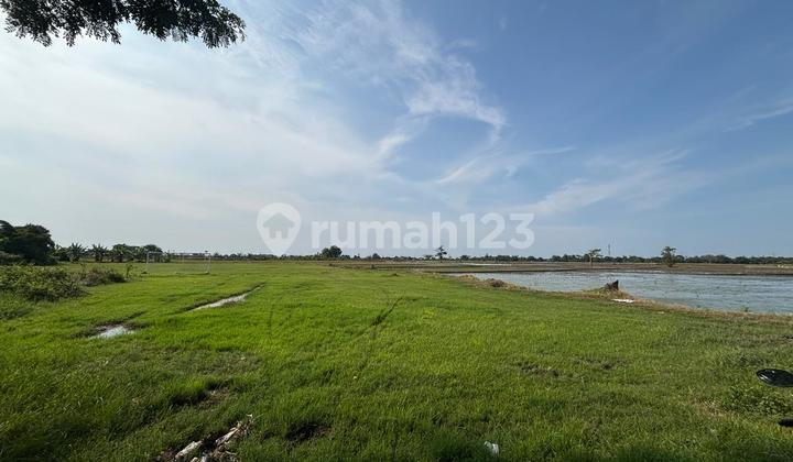 Kavling Tanah Murah Dijual di Mainroad Pantura Subang Kavling Tanah Murah Dijual di Mainroad Pantura Subang