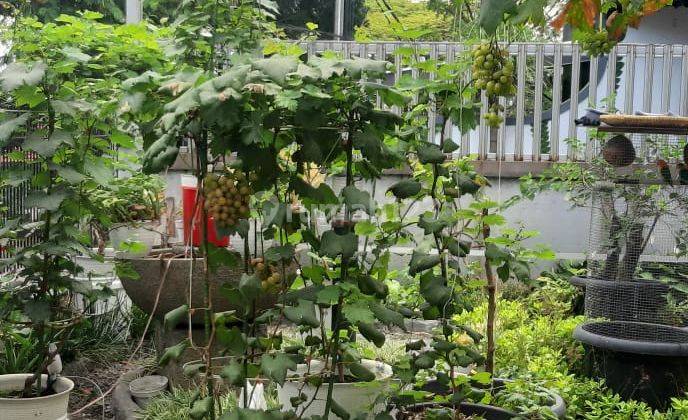 Rumah Nyaman Terawat di Gunung Batu Pasteur Bandung 2