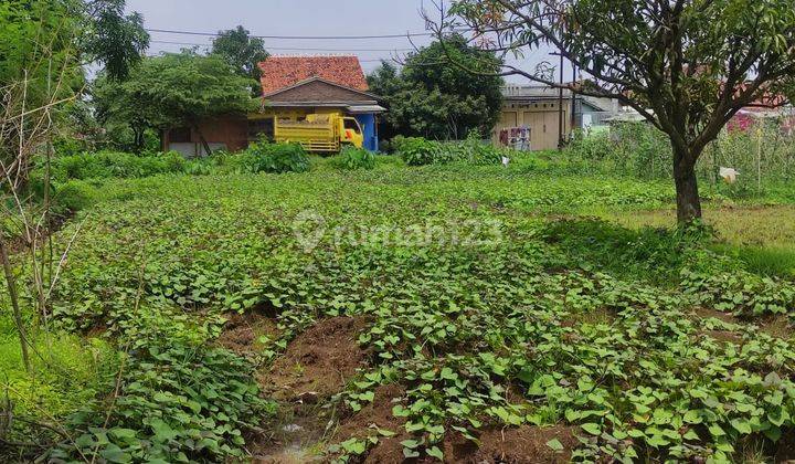 Kavling Luas Strategis di Tengah Kota Cirebon 1