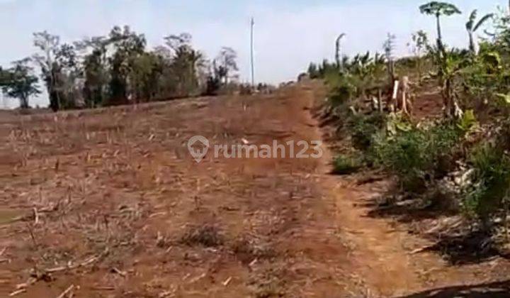 Kavling Tanah Luas Dan Murah di Natar Lampung Selatan 2