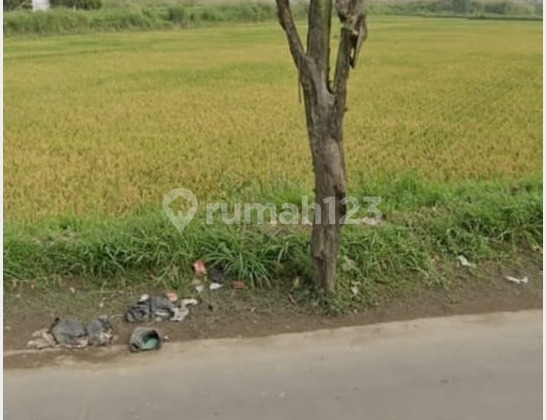 Jual Tanah di Mainroad Jelegong Nanjung Bandung