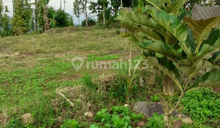 Jual Tanah Kebun Akses Truk di Sukamulya Ciwidey Bandung