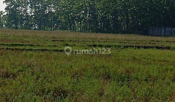 Subang, Dijual Tanah Kavling Cocok Untuk Bangun  Pabrik Industri Atau Gudang 2