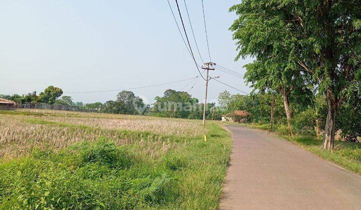 Subang, Dijual Tanah Kavling Cocok Untuk Bangun  Pabrik Industri Atau Gudang 1