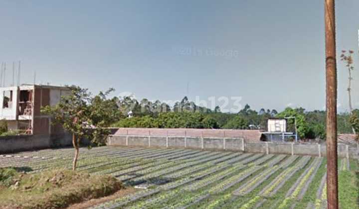 Mekartani Cisarua Lembang Tanah Kavling Cocok Untuk Dibangun Villa 