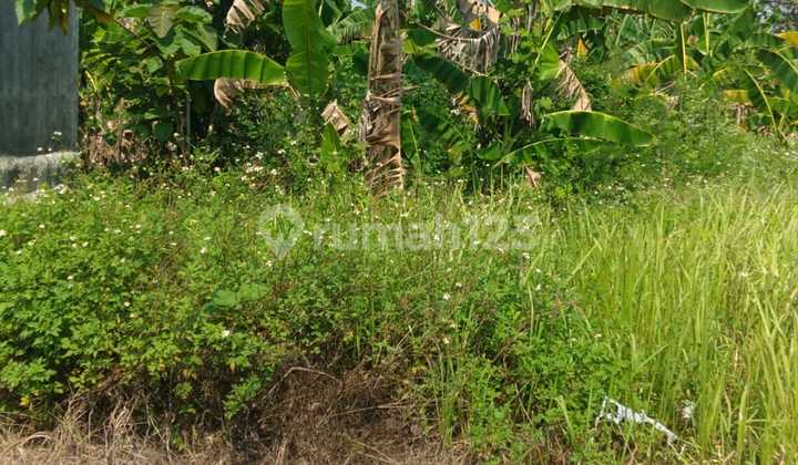 Dijual Tanah Datar Siap Bangun Lokasi Jamus Majapahit 2