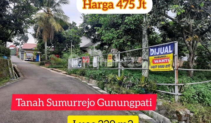 Land for Sale 50m from Sumurrejo Main Road, Gunungpati 2