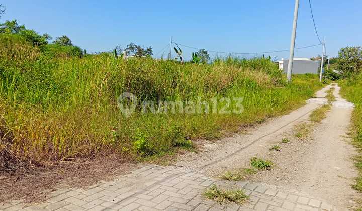 Kavling Dibelakang Torra Mart Sendangmulyo Tembalang 2