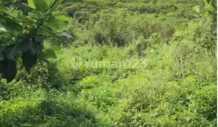 Tanah Kavling Sentul, Tangkil - Citeurup Bogor