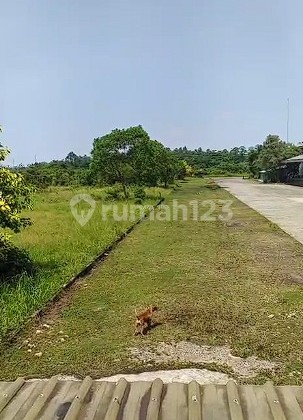 Dijual Tanah Kavling 2 Ha Lokasi Strategis dekat Pintu Tol Balaraja Barat Dijual Tanah Kavling 2 Ha Lokasi Strategis dekat Pintu Tol Balaraja Barat