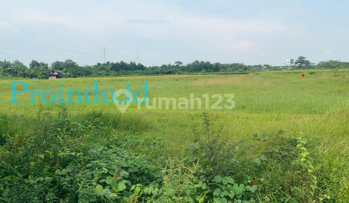 Land for Sale with Strategic Location in East Karawang Land for Sale with Strategic Location in East Karawang