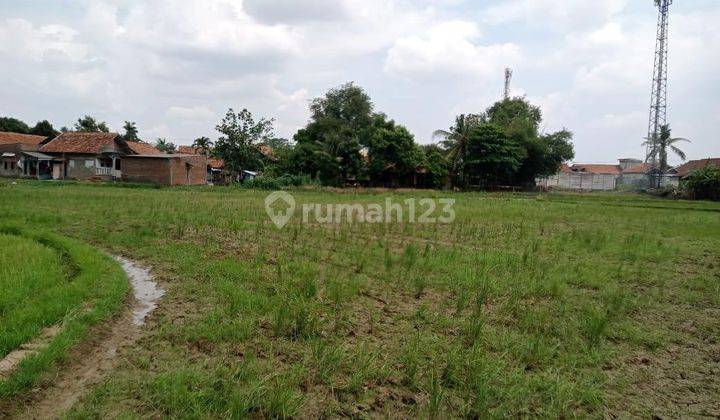 Dijual Tanah 2 Hektar Pinggir Jalan Daerah Cibarusah 2