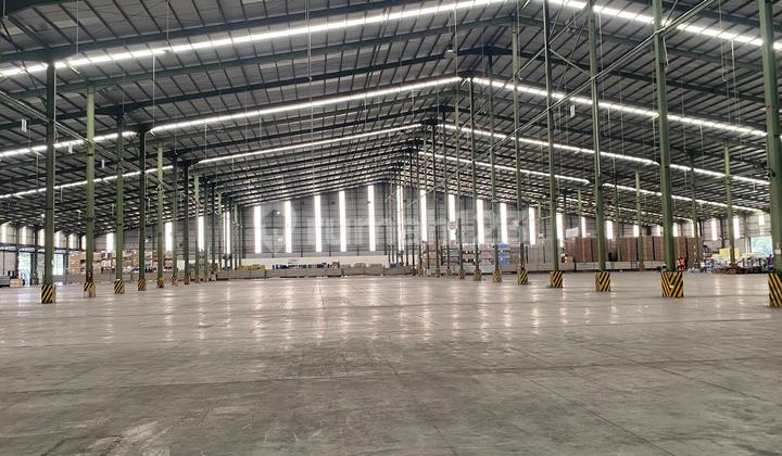 Disewakan Gudang Luas 12000 di Karawang Timur Disewakan Gudang Luas 12000 di Karawang Timur