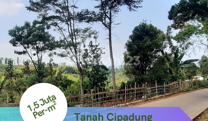 Investasi Tanah Cipadung Cibiru, View Kota Bandung