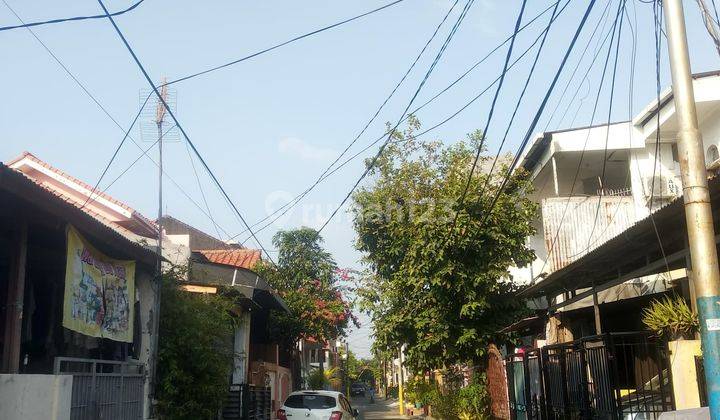 Rumah Gandeng Bagus Siap Huni di Walang Baru Plumpang 2