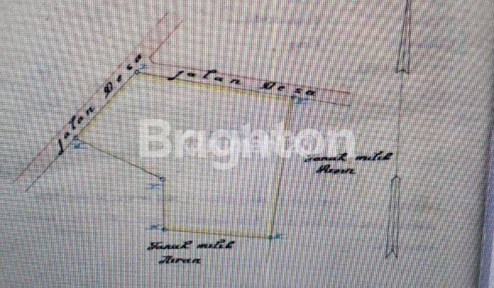 KAVLING KEBUN VANILI AKTIF DI GUNUNG SINDUR DEKAT BSD 2