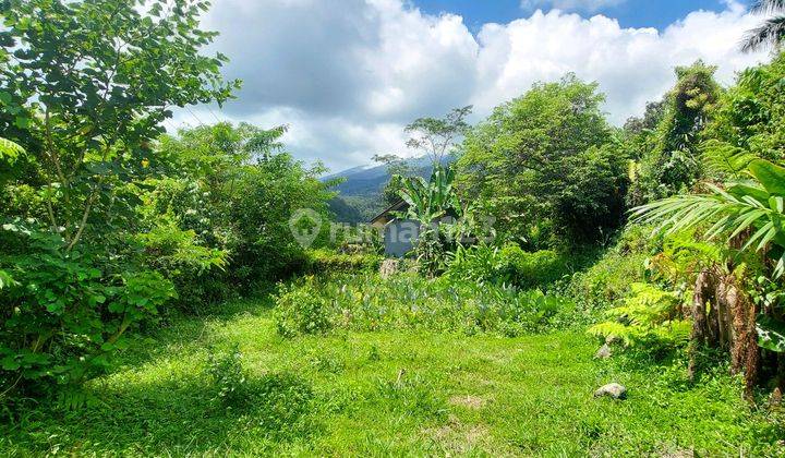 Tanah Di Bogor Cocok Untuk Villa Dekat Tempat Wisata Di Ciapus 1