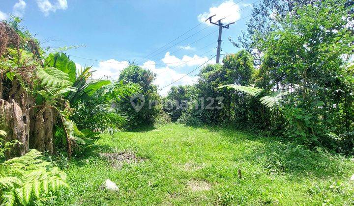 Tanah Di Bogor Cocok Untuk Villa Dekat Tempat Wisata Di Ciapus 2