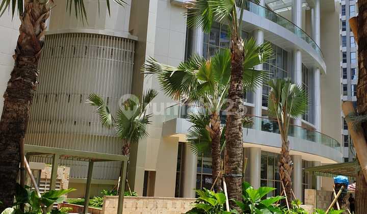 Dijual cepat Apartment Taman Anggrek Residence Tower Daffodil  2